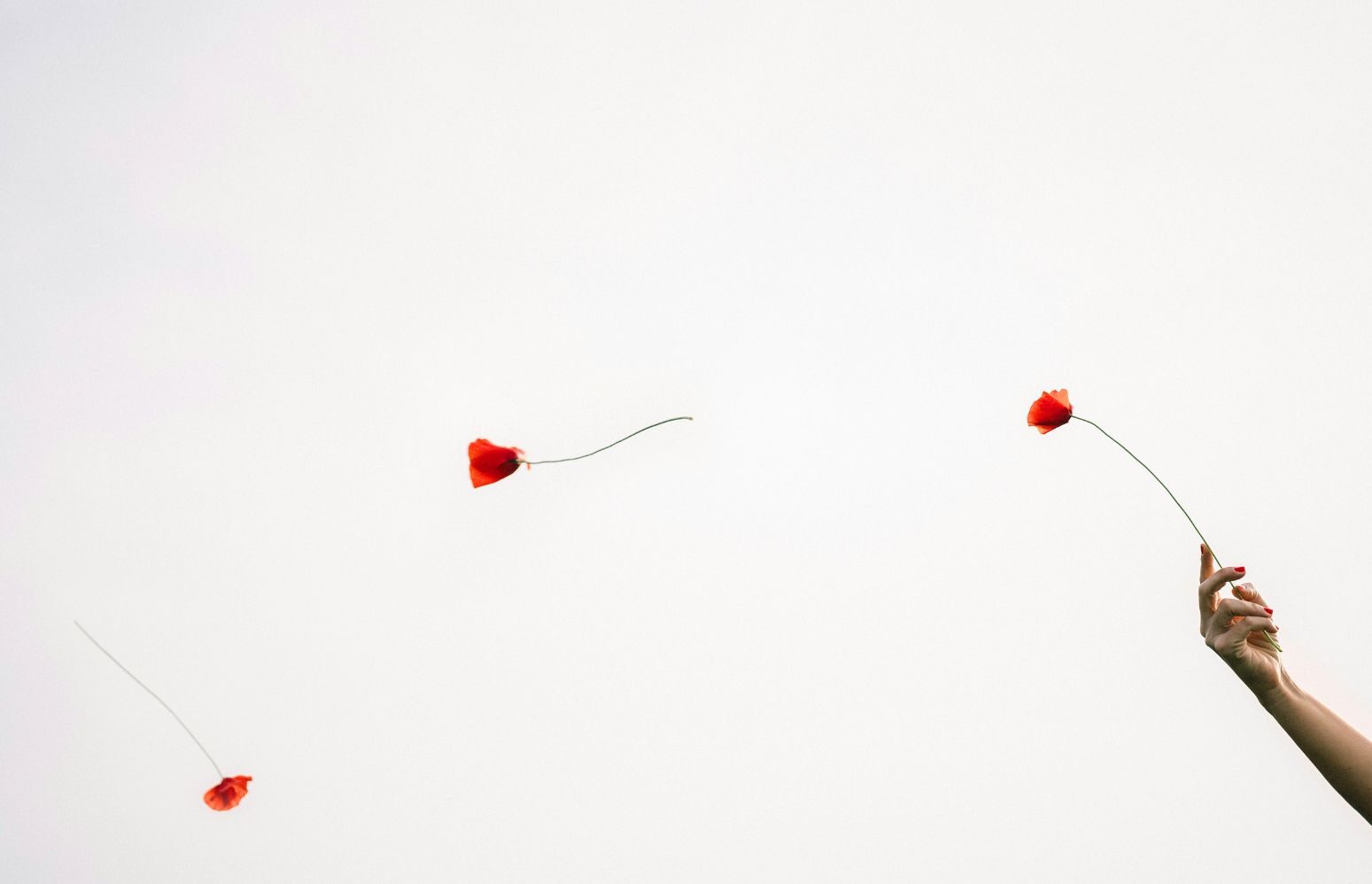 Amour Groupe Mains en coeur