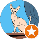 Suzanna H profile picture